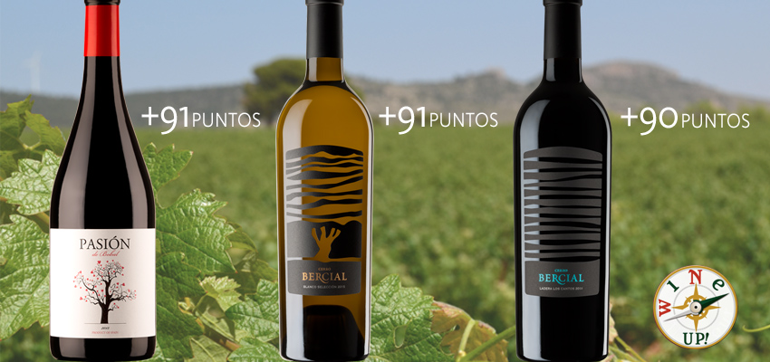 Three golds in the 2018 Wine Up Guide: Pasión de Bobal and Cerro Bercial!