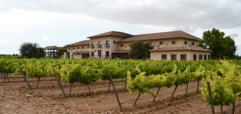 Winemakers, we are back! We resume wine tourism in La Roda