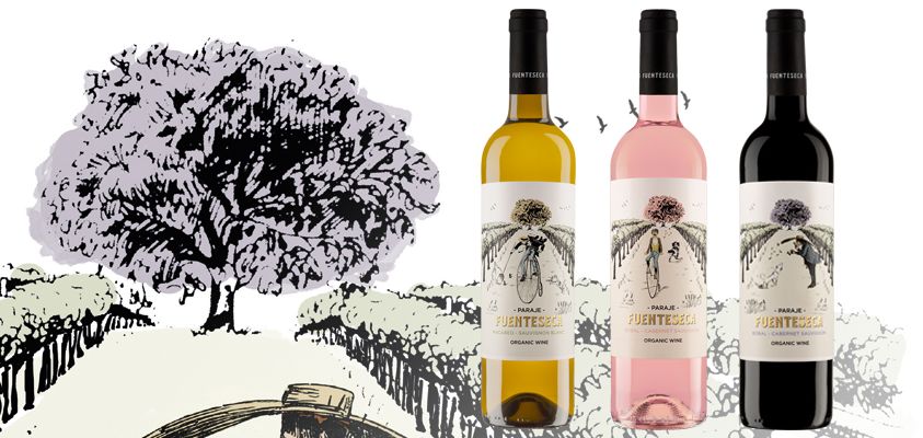 new-design-fuenteseca-wines-utiel-requena-bodega-sierra-norte